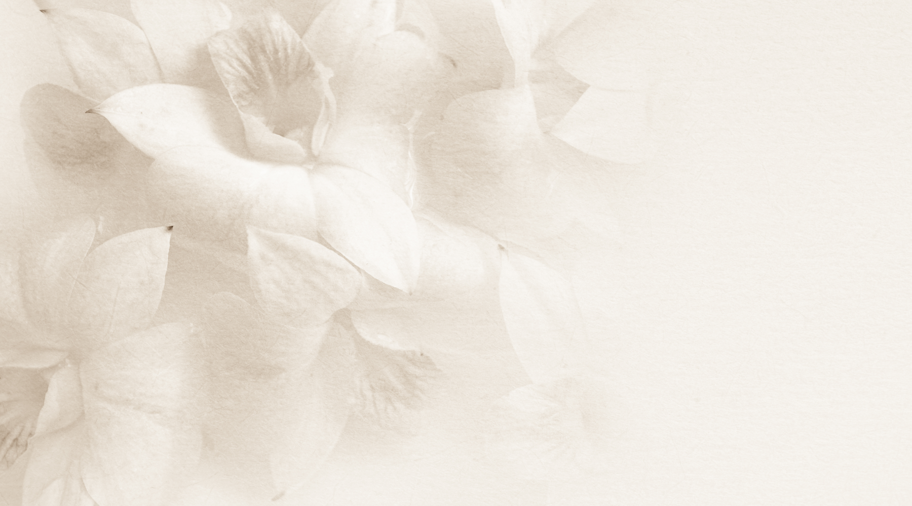 Tea Infused Essential Oils For Aromatherapy