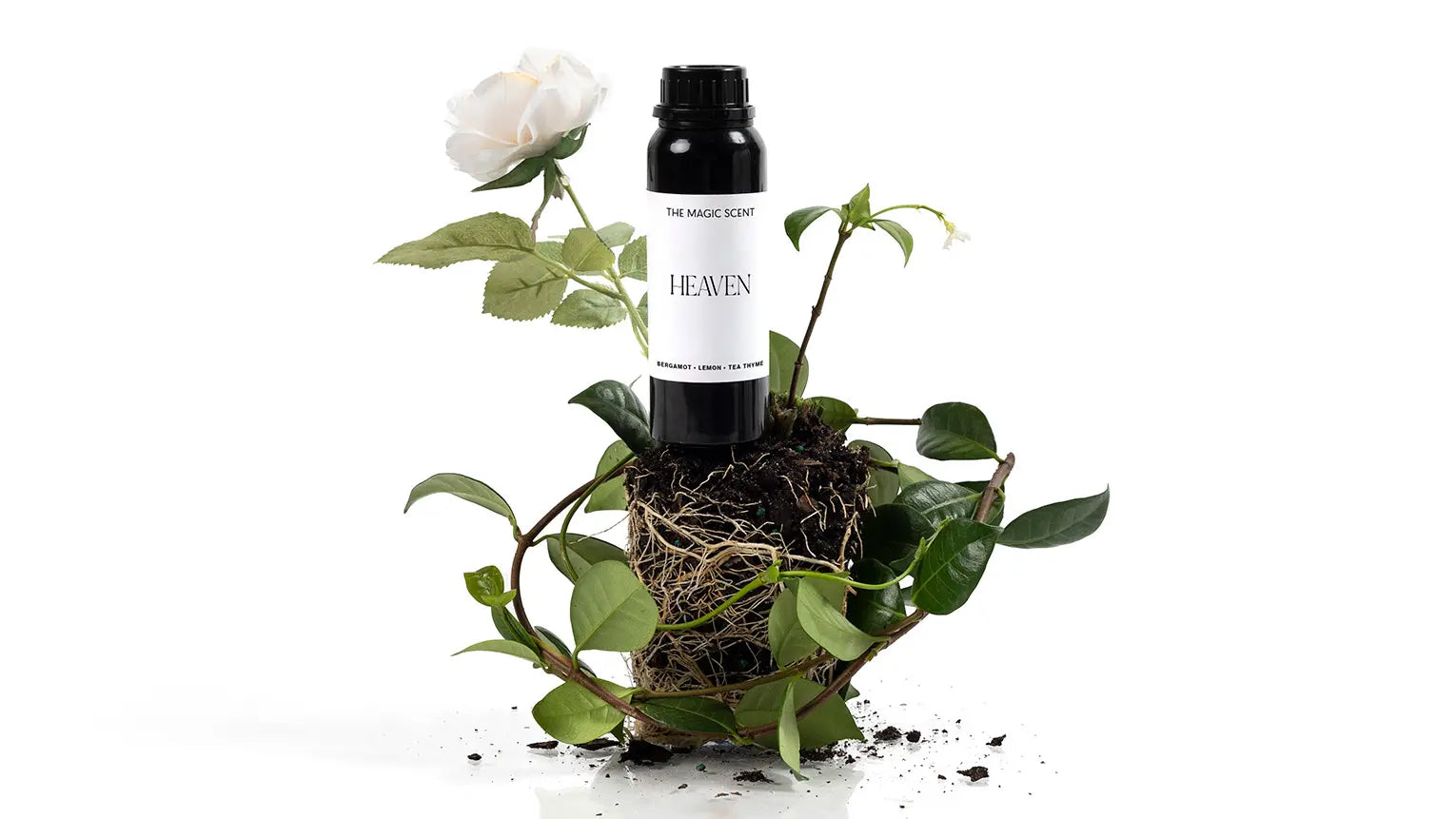 Natural Stress Relievers, Natural Ways to Relieve Stress