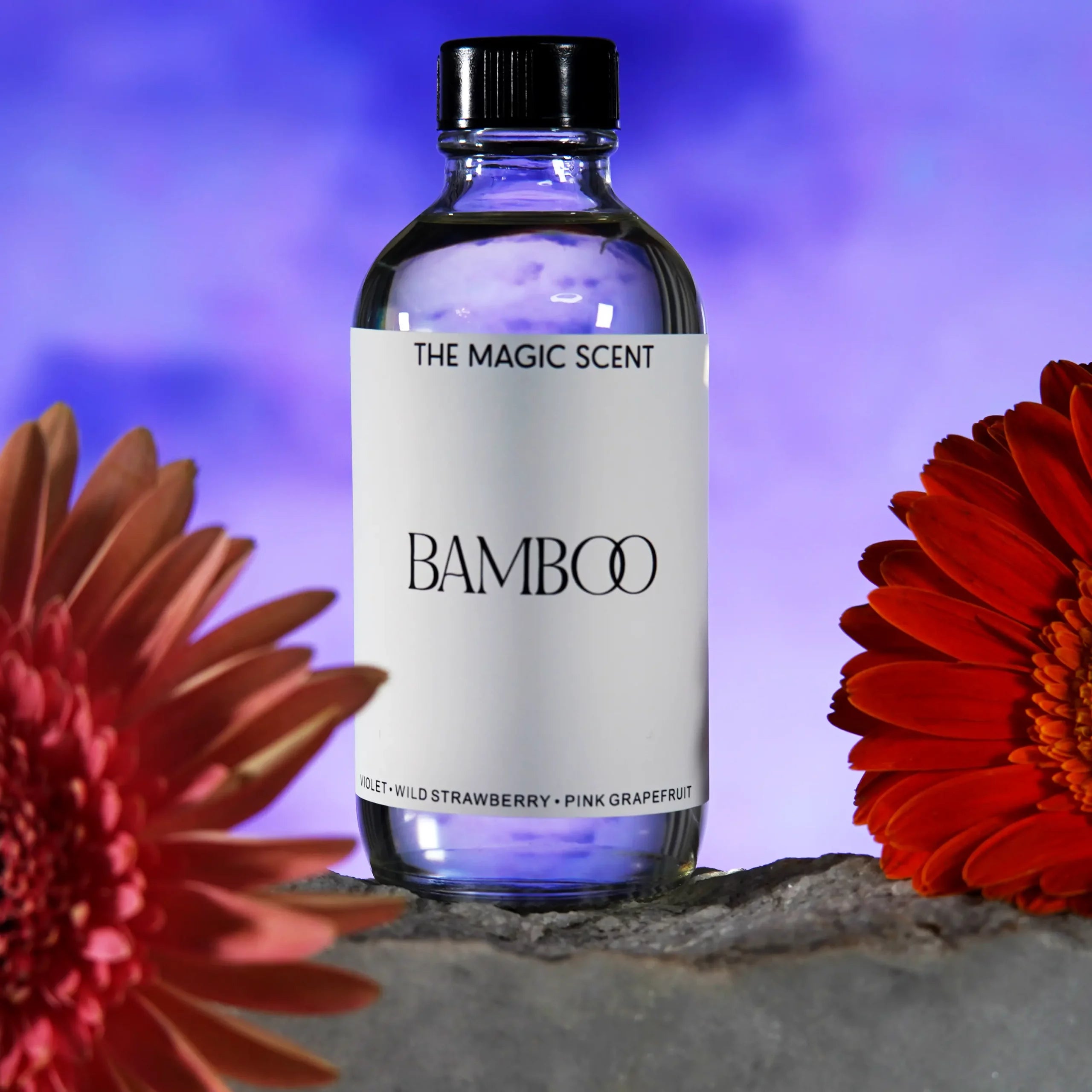 Bamboo