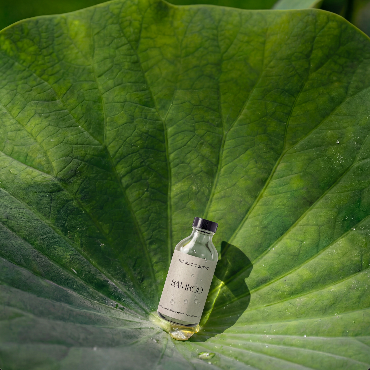 Aceite difusor de bambú