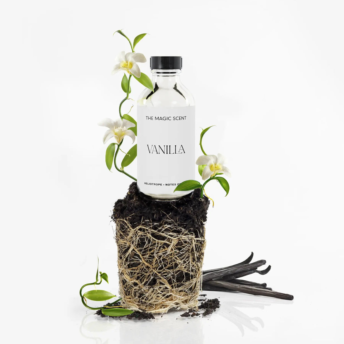 Vanilla