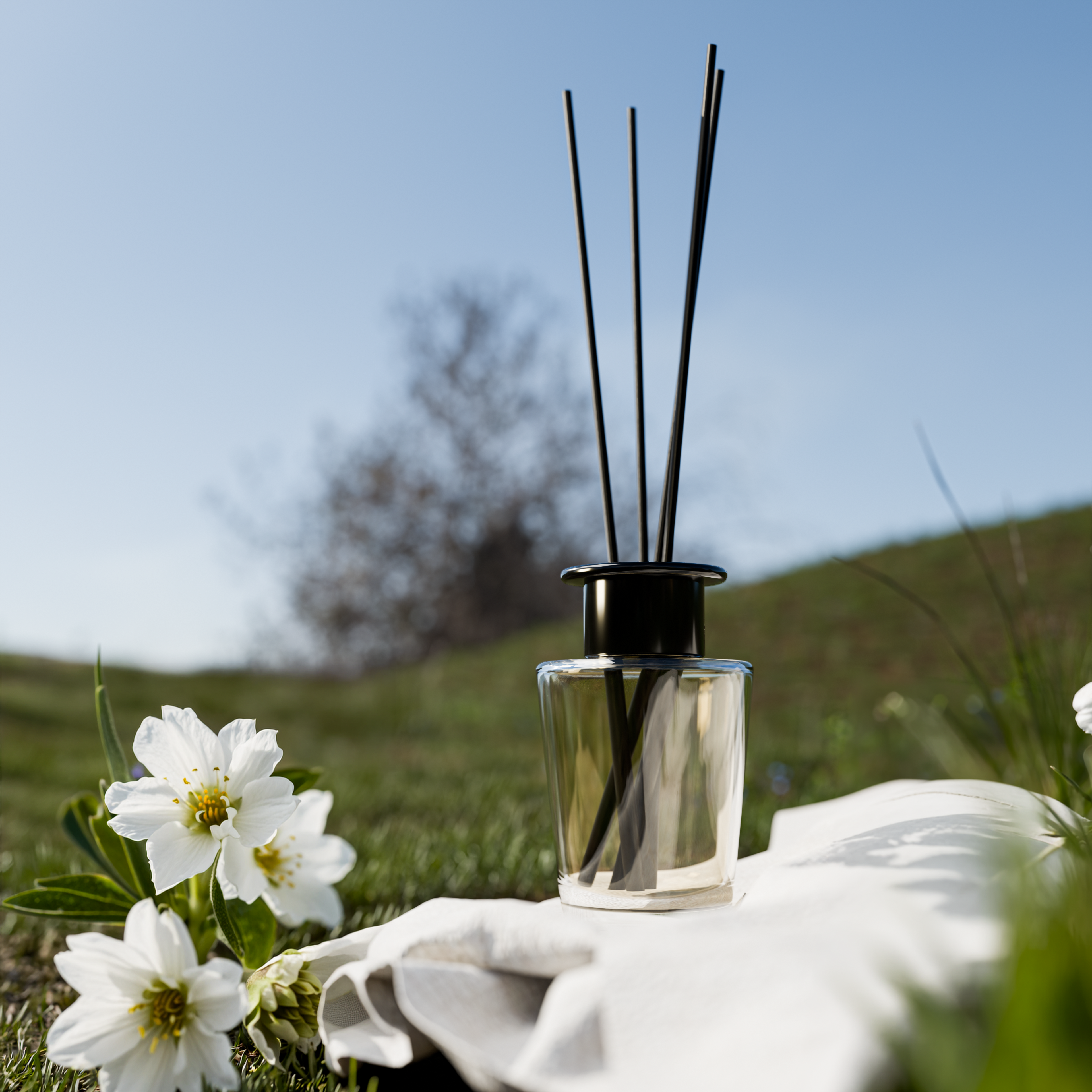 White Tea Reed