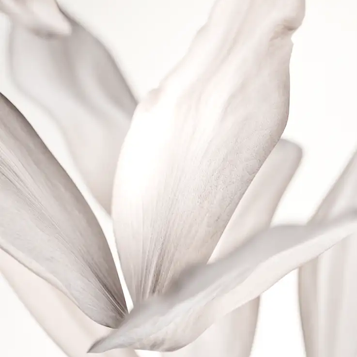 Hotel Inspired Scents