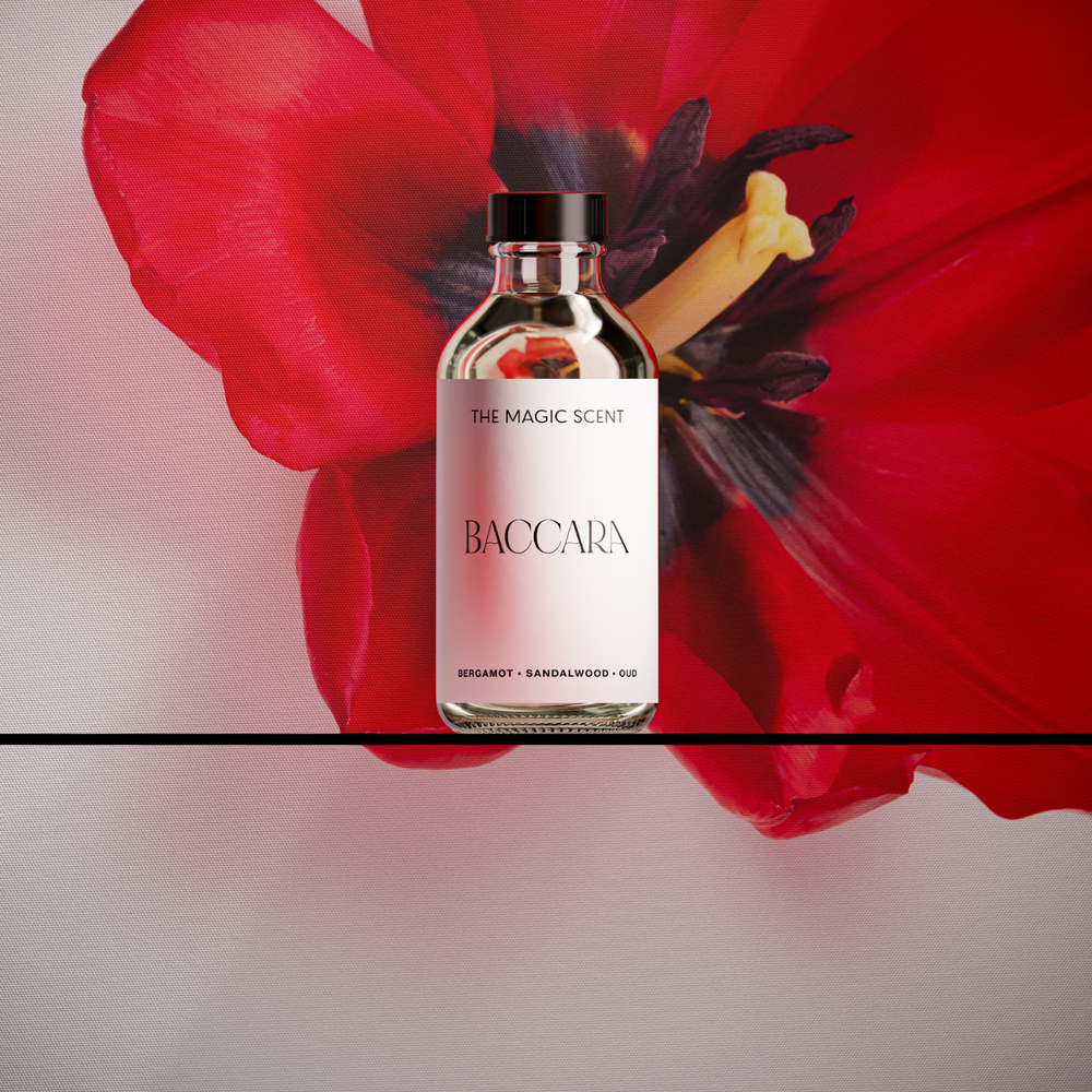 Baccara: A Baccarat Diffuser Oil | The Magic Scent