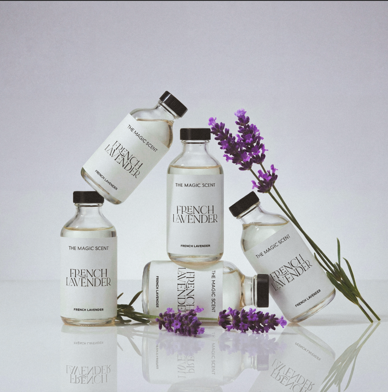 French Lavender
