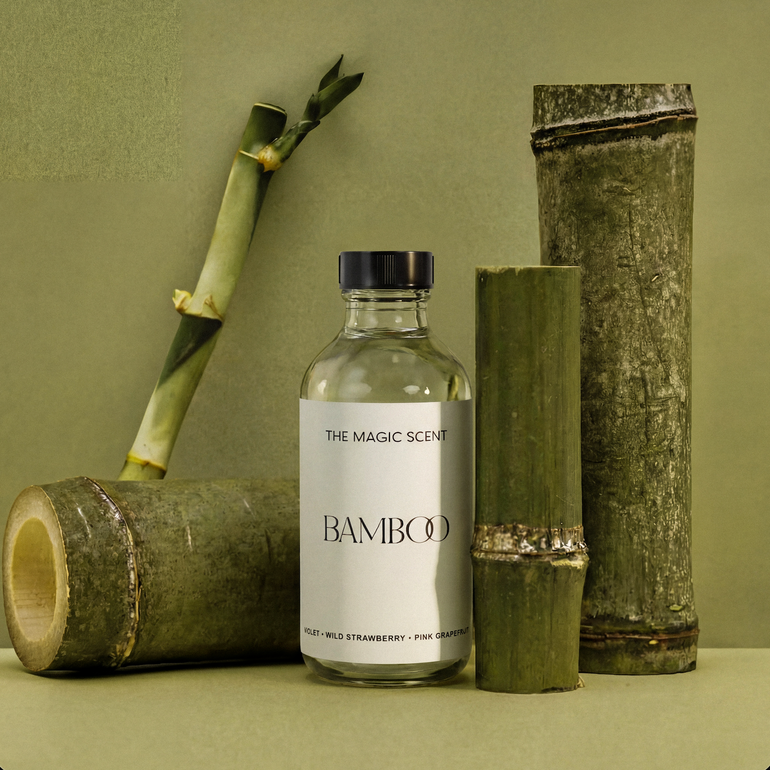 Bamboo