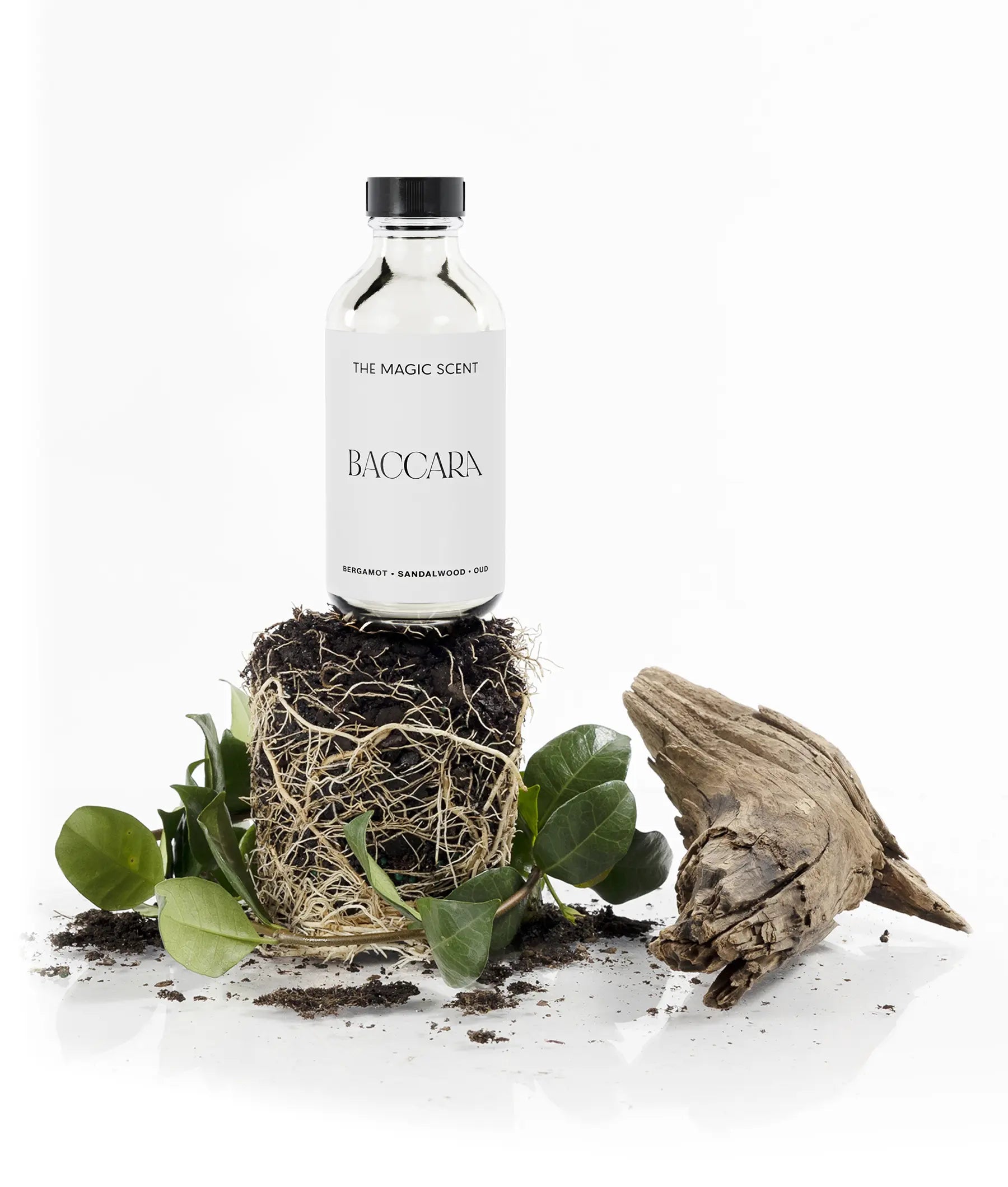 Baccara Diffuser Oil