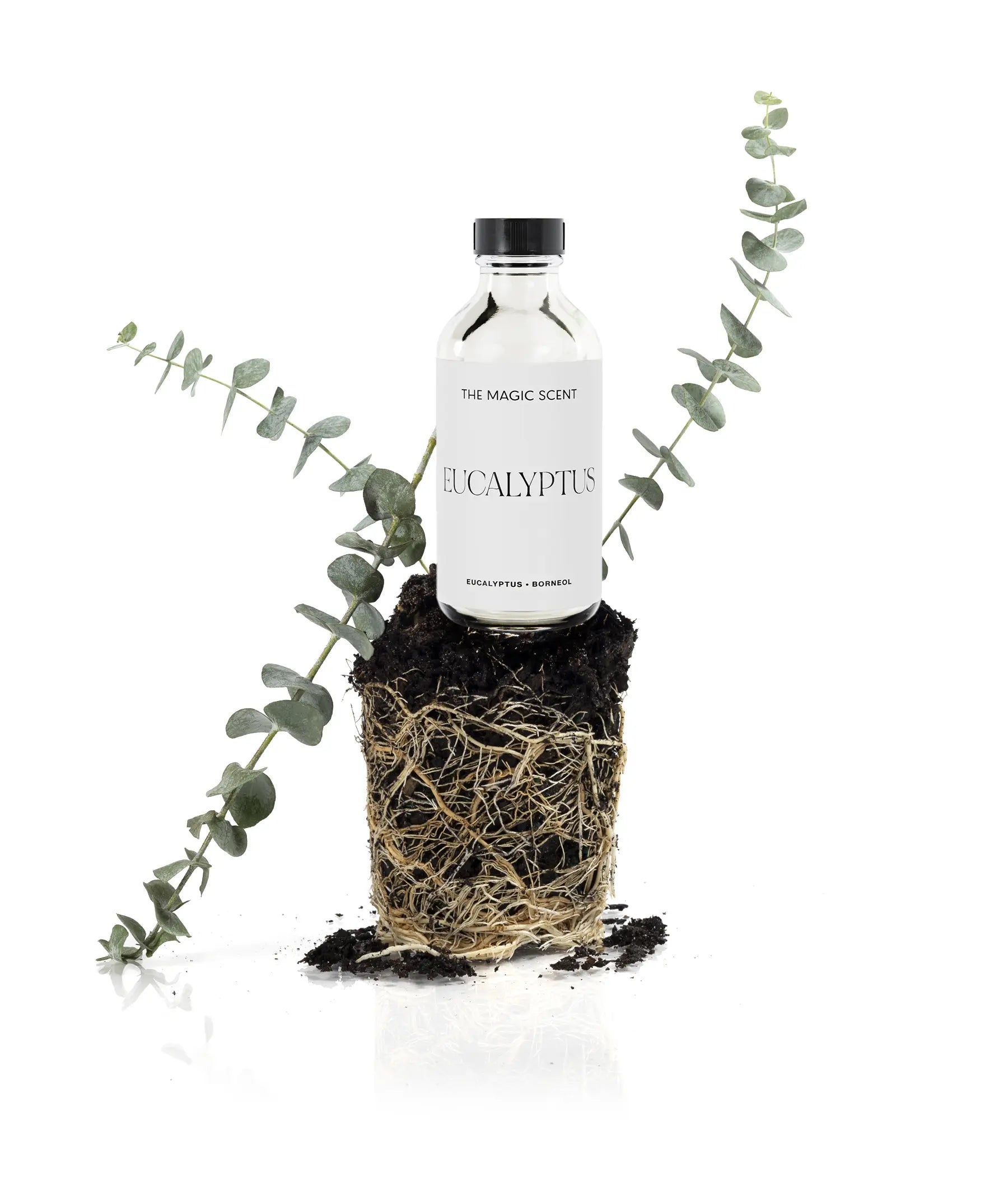 Eucalyptus Diffuser Oil