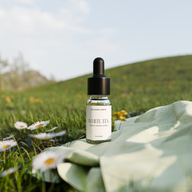 White Tea - 10ml