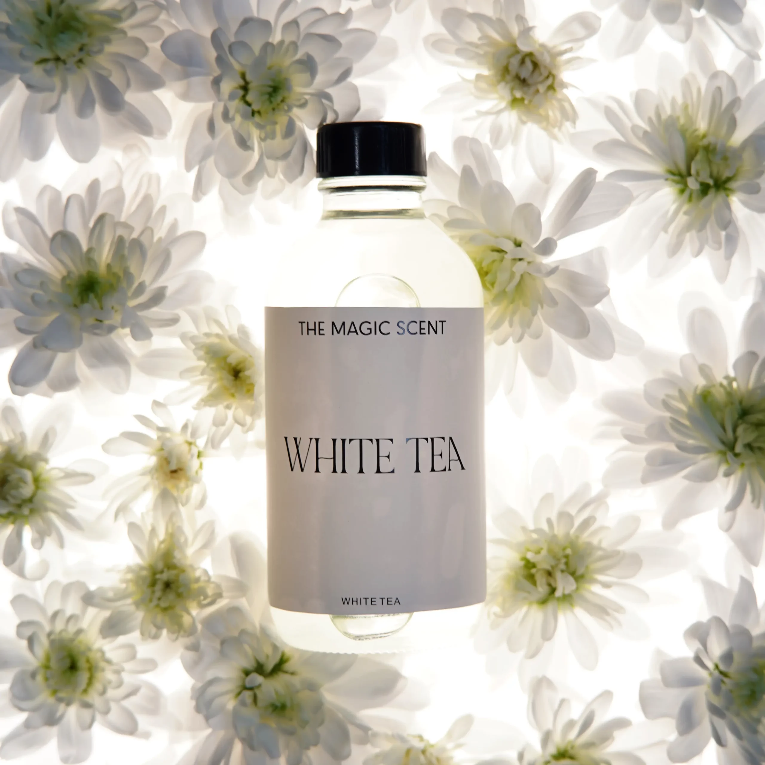 White Tea Diffuser Oil  For Use Within Aroma Diffusers